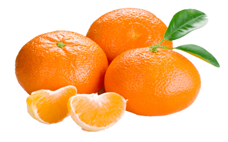 mandalina-semena-tarim.png