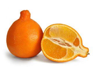 semena-tarim-mineola.jpg